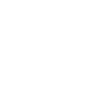Bloqueo diferencial electrónico*