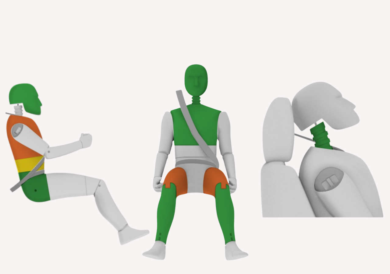 5 estrellas latin ncap