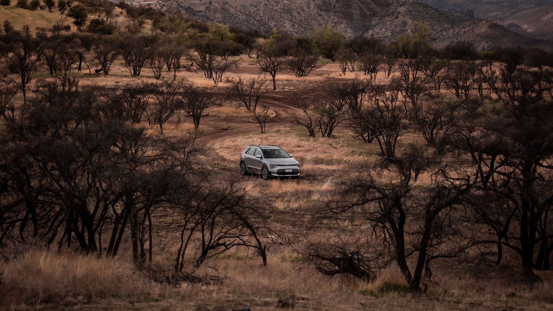 Kia Niro en Campo