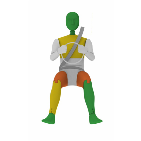 5 estrellas latin ncap